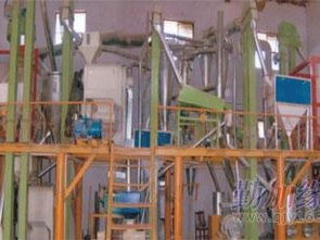 河南鑫丰供应商 专业提供面粉机成套设备及二手面粉机，合作河南工业大学，品质保障